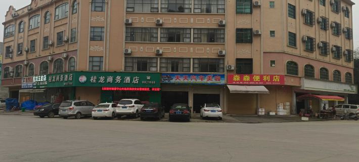 Longzhou Guilong Business Hotel Hotels in Longzhou