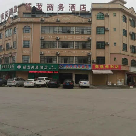Longzhou Guilong Business Hotel