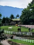 Jinyun Chunshang Yunduan Secret Resort Hotel - Gym