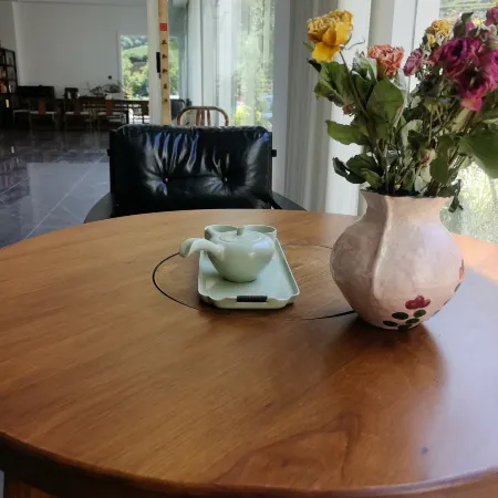 Fuding Taimu Mountain Chahe Homestay