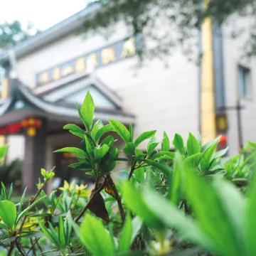 Emei Mountain Hot Spring Hotel