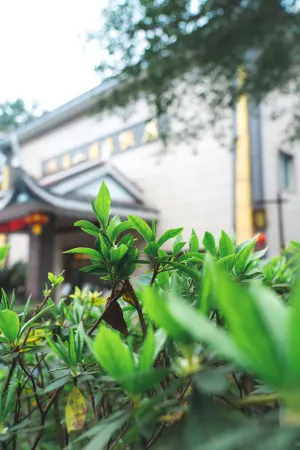 Emei Mountain Hot Spring Hotel Lingxiu hot spring