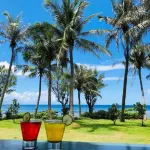 Yoho Beach Resort