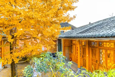 shan Ge inn in tengchong ginkgo village Hotel di Ginkgo Village