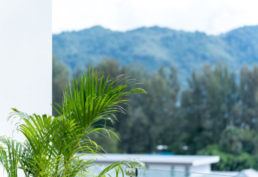 4. 솔레 미오 부티..