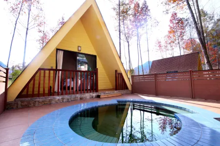 Fengyue Resort Hotel Отели в г. Дэбао