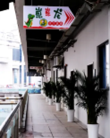 Baby dragon  Parent-child Homestay