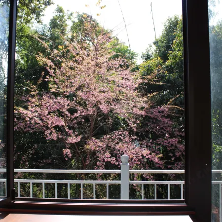 Nanbenshan Yin Homestay