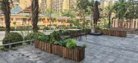 Baoting Rain Forest Time Travel Rent - 2-Star