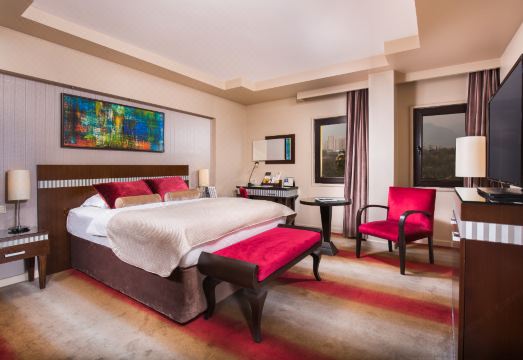 알미라 호텔 부르사 온천 수영장