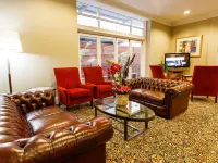 Adabco Boutique Hotel Adelaide Hotels in Adelaide