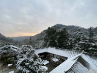 青城见素山居民宿 - 观妙家庭水景套房