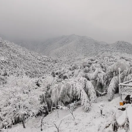 Nanshan Zhuhai meets Nanshan Landscape Beautiful Su