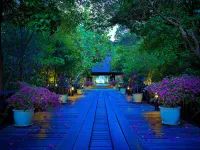 浮羅交怡瑞柏克島嶼海濱渡假村 酒店