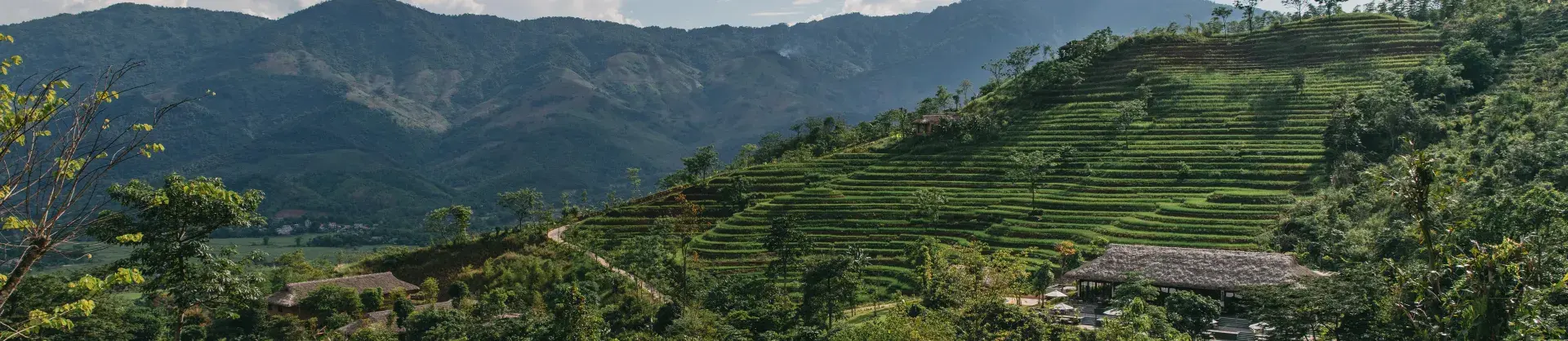 Khung cảnh trữ tình