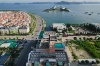 Danitel Halong