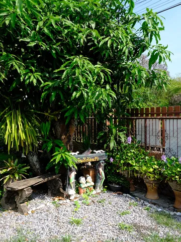 รูปภาพของCool Cat House ครูแคทเฮาส์