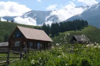 BUZHIJIANSHAN YARD Hotels near Baihaba