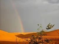 Brilliant Galaxy Desert Stargazing Homestay