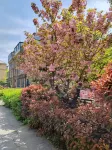 All Seasons Sleeping Well - Pet friendly