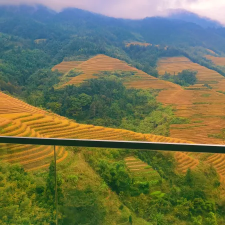 Longji Guyu Mountain View Homestay