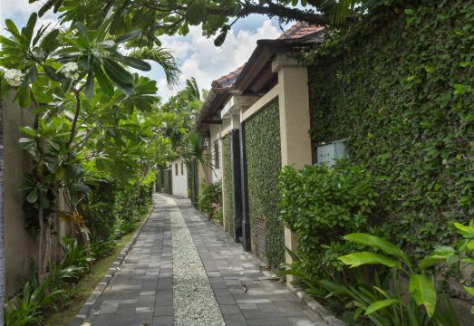 3. 디시니 럭셔리 ..