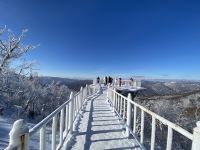 雪乡二浪河大东北酒店 - 酒店景观