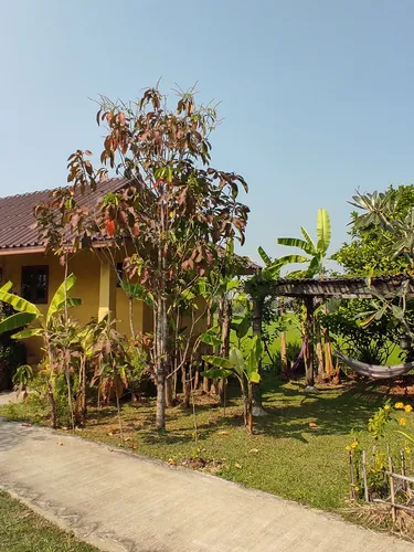 รูปภาพของคันทริ รีทรีท