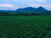 莫干山映拾山度假酒店 - 山景繁花标间