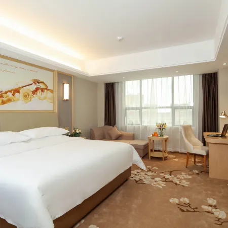 Vienna International Hotel (Qiyang High-tech District)