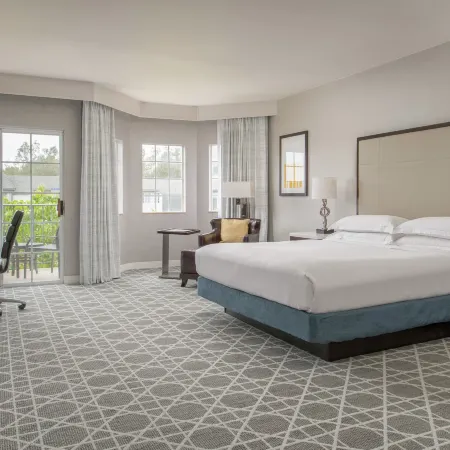 Hilton San Diego/Del Mar