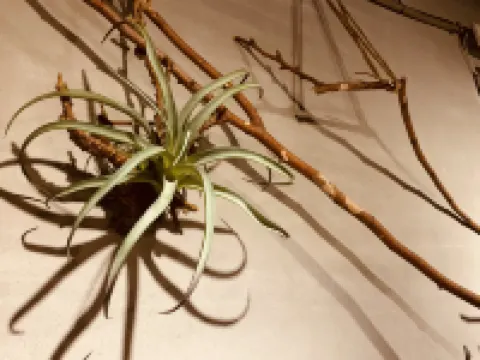 Yian Branch2 lnn Hotels in Changhua