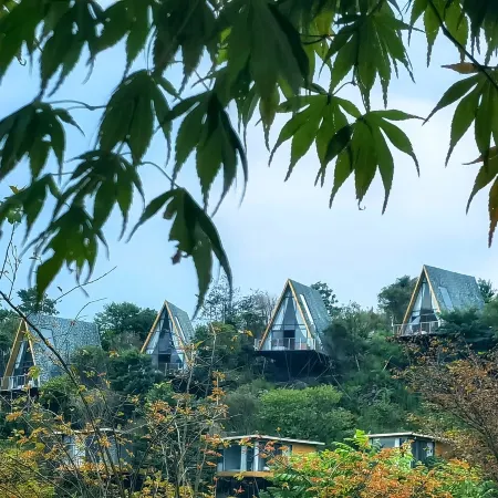 Shili Hongfeng Country Tourism Holiday Homestay