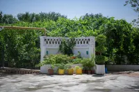 Silk Road Lodges Hotels in Turpan