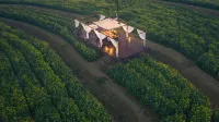 Stray Birds Hotel Hotel a Jiangshan