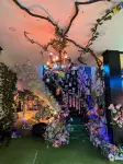 DANDY VILLA