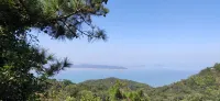 South Australia Golden Dolphin apartment
