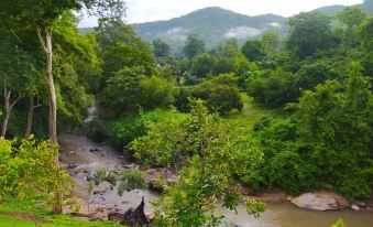 Chiang Mai Elephant Friends