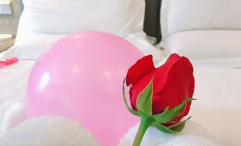 7Days Inn Chain Hotel (Nanning Jiangnan Passenger Station Subway Entrance)
