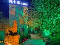 涠洲岛维卡娜海景假日酒店 - 花园