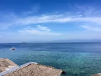 Neptune Diving Resort Moalboal Hotels in Moalboal