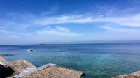 Neptune Diving Resort Moalboal