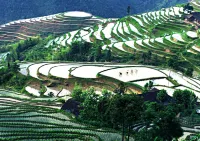 Xupu Star Cloud House Homestay - Mountain view