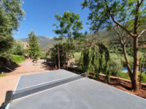非洲古堡摩洛哥傳統庭院住宅