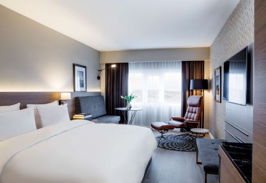 래디슨 블루 플라자 실내 수영장