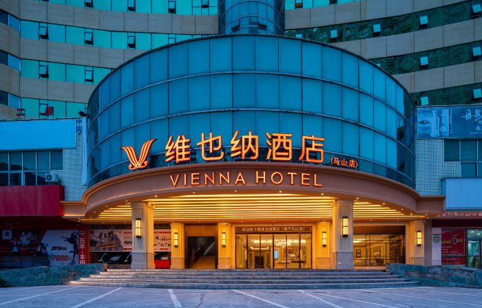 Vienna Hotel (Mashan Branch)