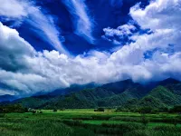 Floral Hotel·Shennongjia Yunshan Lake Guest Hotel (Dajiuhu Pingqian Town Branch)