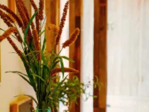 Zhibei Village Boutique Cultural Tourism Home stay