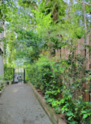塔尼之家