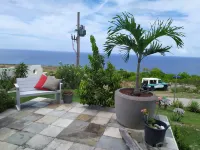 Whale Tails Hotel Hotels in Oranjestad